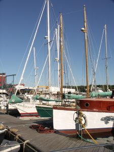 a series of sailboats in the marina